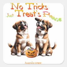 Trick Treat Halloween Saint Bernard