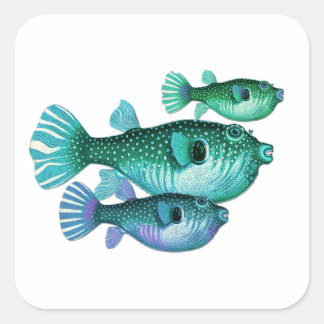 Pegatina Cuadrada Trío de peces azul de puré verde