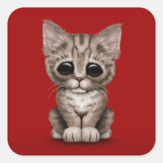 Pegatina Cuadrada Triste gato moreno moreno gatito en rojo