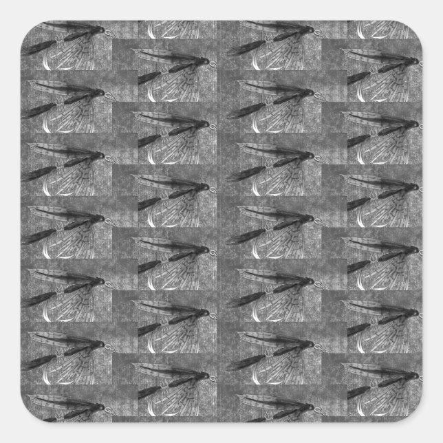 Pegatina Cuadrada Trucha, bajo y crápidos tres favoritos de peces sq (Anverso)