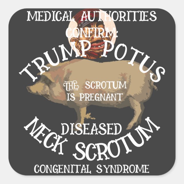 Pegatina Cuadrada Trump (Anverso)