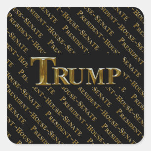 PEGATINA CUADRADA TRUMP 2024