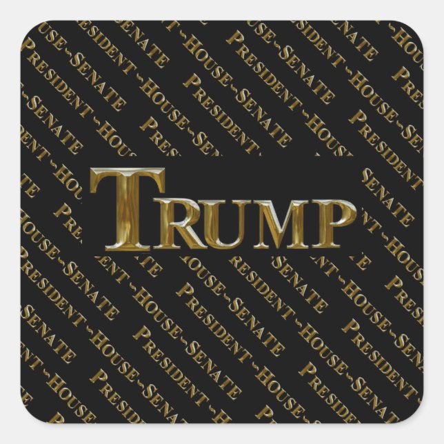 PEGATINA CUADRADA TRUMP 2024 (Anverso)