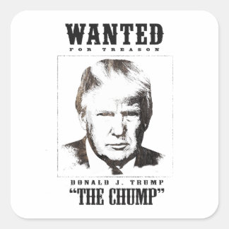 Pegatina Cuadrada Trump quiere Poster - Trump el golpe