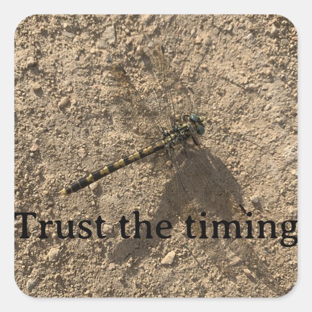 Pegatina Cuadrada Trust the Timing Sticker (Anverso)