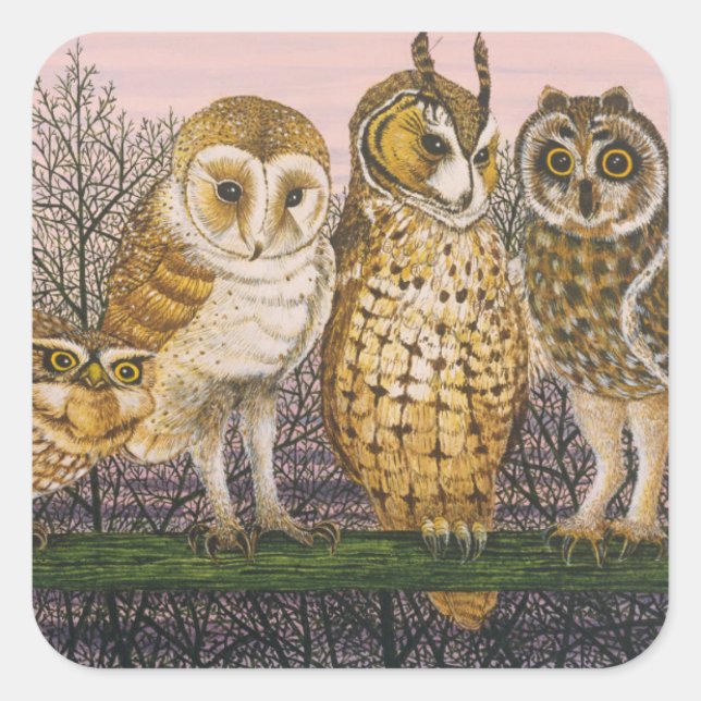 Pegatina Cuadrada Tu-whit Tu-whooing (Anverso)