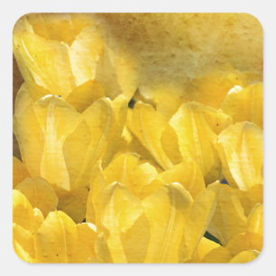 Pegatina Cuadrada Tulipanes amarillos de la acuarela con Chevron