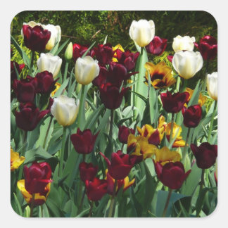 Pegatina Cuadrada Tulipanes coloridos de color marrón y amarillo