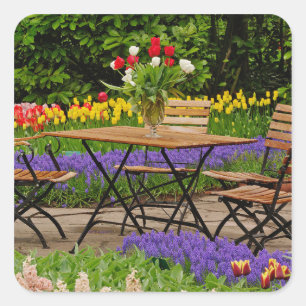 Pegatina Cuadrada Tulipanes de mesa en jardín, Jardines Keukenhof,