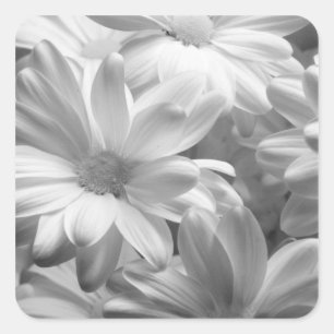 Pegatina Cuadrada Tulipanes en Keukenhof Gardens, Holanda. 2