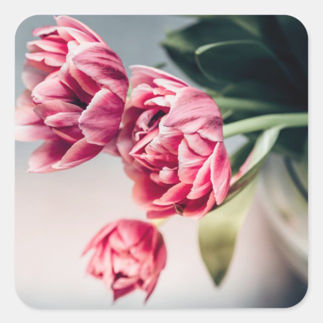 Pegatina Cuadrada Tulipanes en una vesícula (Anverso)