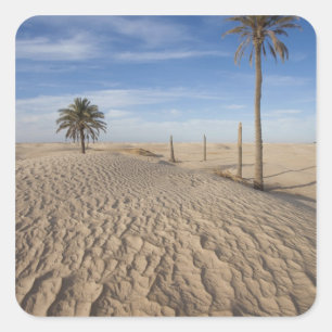 Pegatina Cuadrada Túnez, desierto del Sahara, Douz, Gran Duna, amane