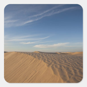 Pegatina Cuadrada Túnez, desierto del Sahara, Douz, Gran Duna, atard