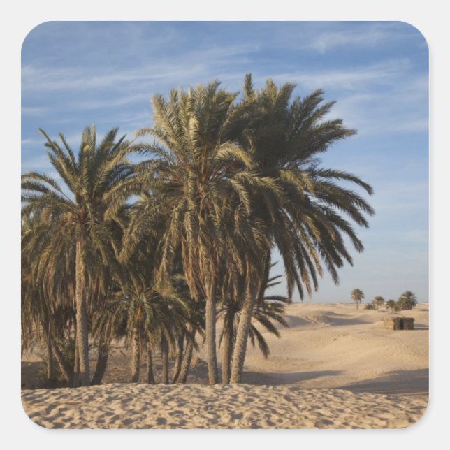 Pegatina Cuadrada Túnez, desierto del Sahara, Douz, gran duna, palme (Anverso)