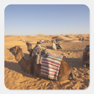 Pegatina Cuadrada Túnez, zona de Ksour, Ksar Ghilane, Gran Erg 3