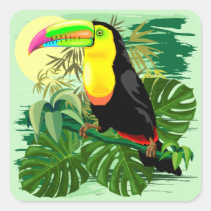 Pegatina Cuadrada Turca en la Amazonía Verde