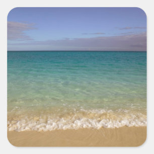 Pegatina Cuadrada Turcas y Caicos, Isla Providenciales, Grace 2