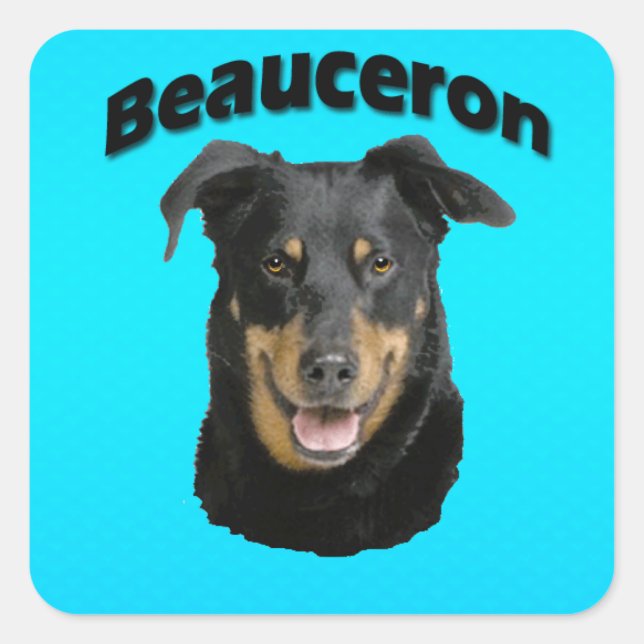 Pegatina Cuadrada Turquesa de Beauceron (Anverso)