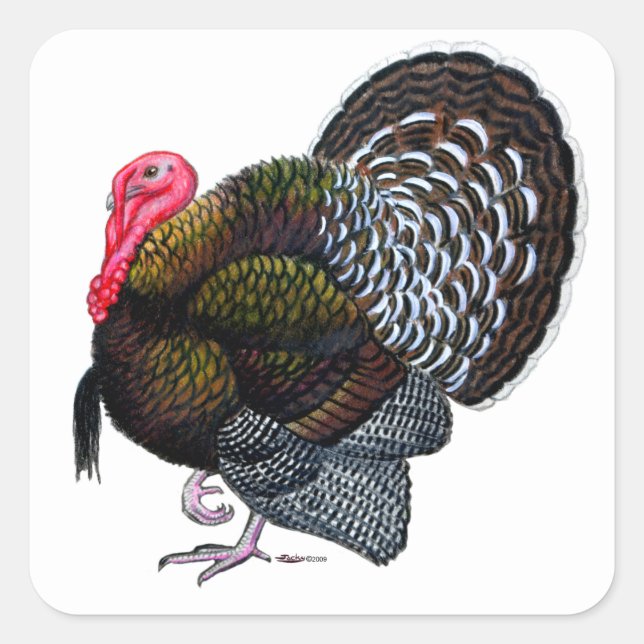 Pegatina Cuadrada Turquía: Tom del bronce (Anverso)