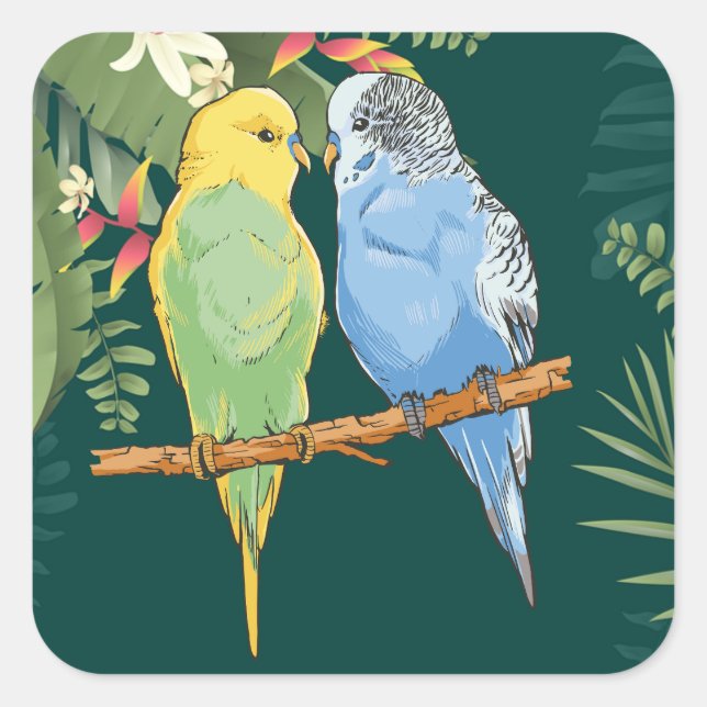 Pegatina Cuadrada Two cute blue and green Budgies (Anverso)