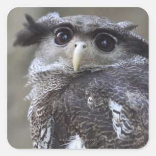 Pegatina Cuadrada Ueno, Taitoh-ku, Tokio, Japón 2