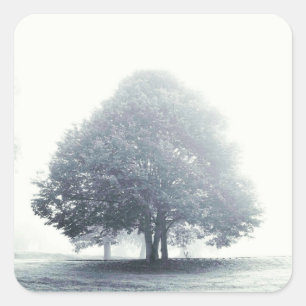 Pegatina Cuadrada Un árbol en la niebla