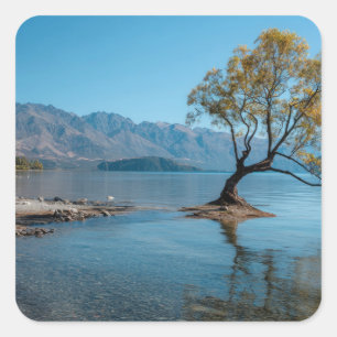 Pegatina Cuadrada Un árbol en un lago