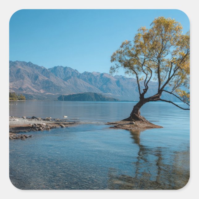 Pegatina Cuadrada Un árbol en un lago (Anverso)