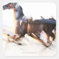 Un caballo corriendo a alta velocidad compite en