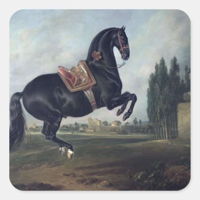 Pegatina Cuadrada Un caballo negro representando el Courbette (Anverso)