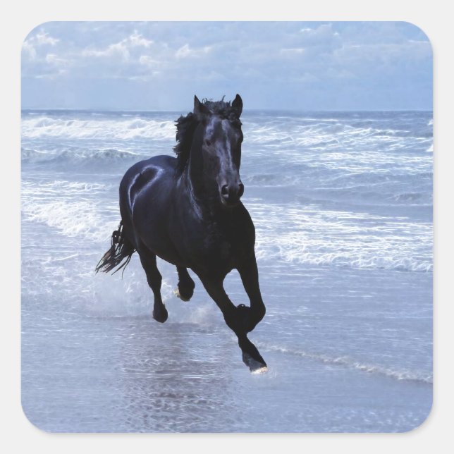 Pegatina Cuadrada Un caballo salvaje y libre (Anverso)