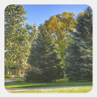 Pegatina Cuadrada Un Día Brillante Y Soleado En El Parque