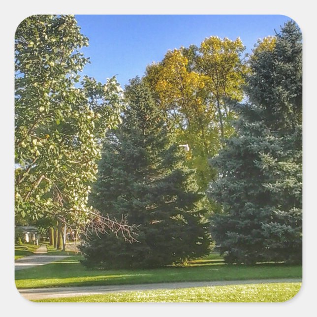 Pegatina Cuadrada Un Día Brillante Y Soleado En El Parque (Anverso)