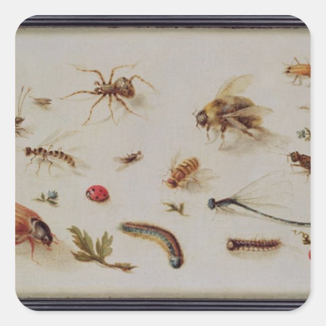 Pegatina Cuadrada Un estudio de insectos (Anverso)