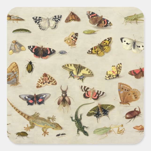 Pegatina Cuadrada Un estudio de insectos (Anverso)