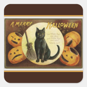 Pegatina Cuadrada Un gato negro y calabazas marrones de Feliz Hallow