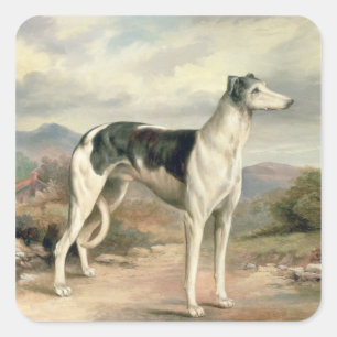 Pegatina Cuadrada Un Greyhound en un paisaje montañoso