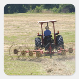 Pegatina Cuadrada Un joven muchacho conduciendo un tractor cosechand