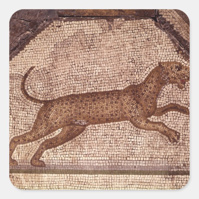 Pegatina Cuadrada Un leopardo (Anverso)