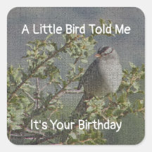 Un Pajarito Me Dijo Feliz Cumpleaños