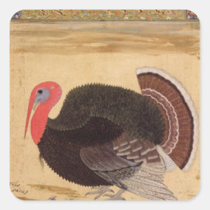 Pegatina Cuadrada Un pavo-gallo, traído a Jahangir