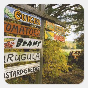 Pegatina Cuadrada Un puesto de granja en Holderness, New Hampshire.