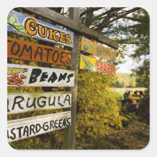 Pegatina Cuadrada Un puesto en Holderness, New Hampshire.