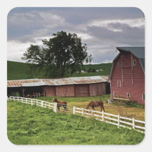 Pegatina Cuadrada Un recorrido por el campo agrícola de Palouse 4