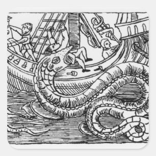 Pegatina Cuadrada Un serpiente marino