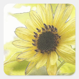 Pegatina Cuadrada Un solo girasol amarillo limón