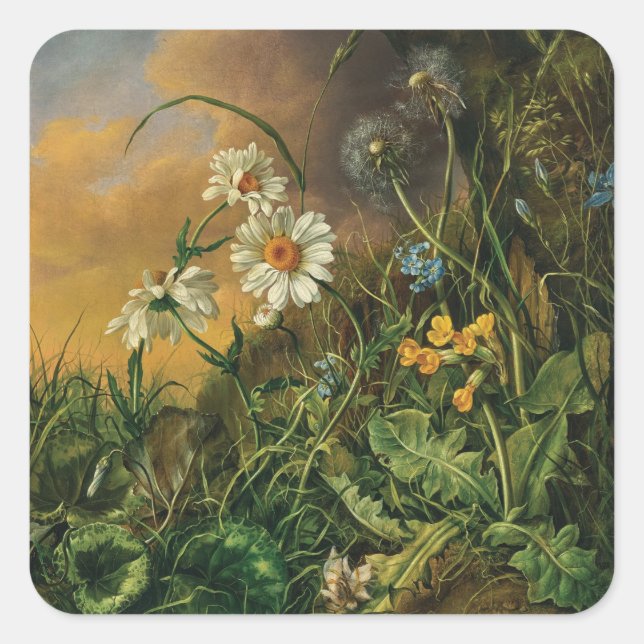 Pegatina Cuadrada Un suelo del bosque con margaritas, primaveras, .. (Anverso)