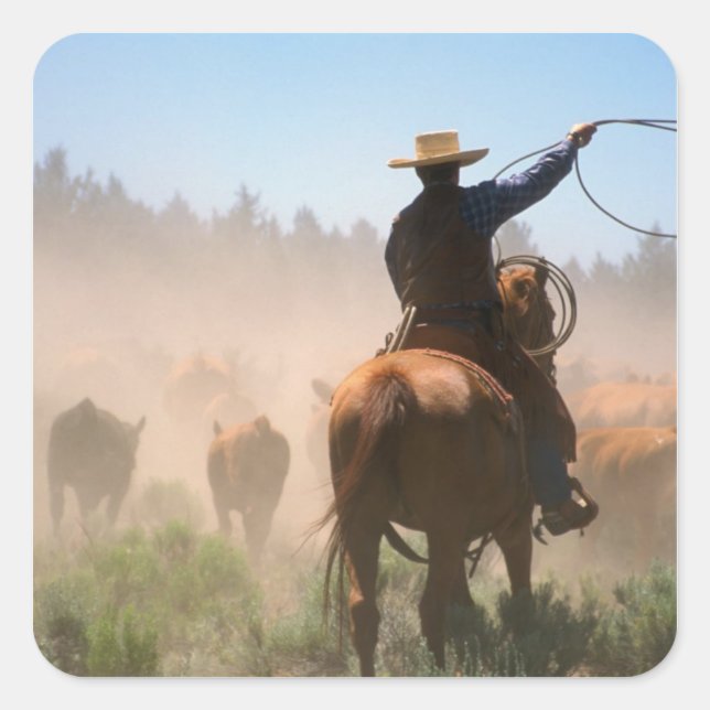 Pegatina Cuadrada Un vaquero trabajando en el ganado (Anverso)