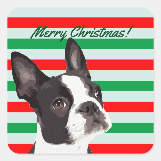 Pegatina Cuadrada Una Feliz Navidad Boston Terrier (Anverso)