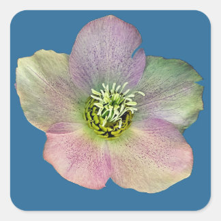Pegatina Cuadrada Una flor